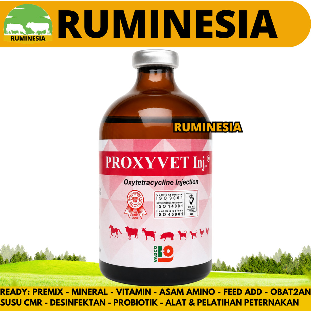 PROXYVET INJ 100ML - Obat Hewan Antibakteri Spektrum Luas Sapi Kambing Domba Babi Anjing Kucing Ayam