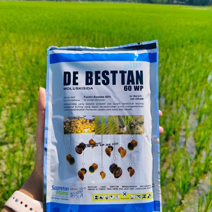 Obat keong sawah racun keong sawah DE BESTAN debestan de besttan siput