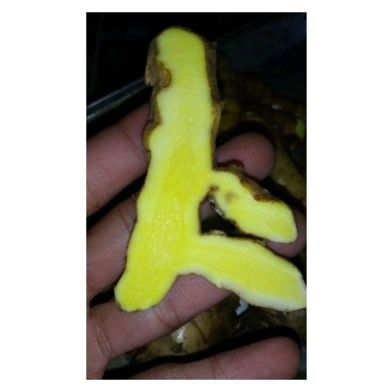 

temu mangga segar netto 500 gram