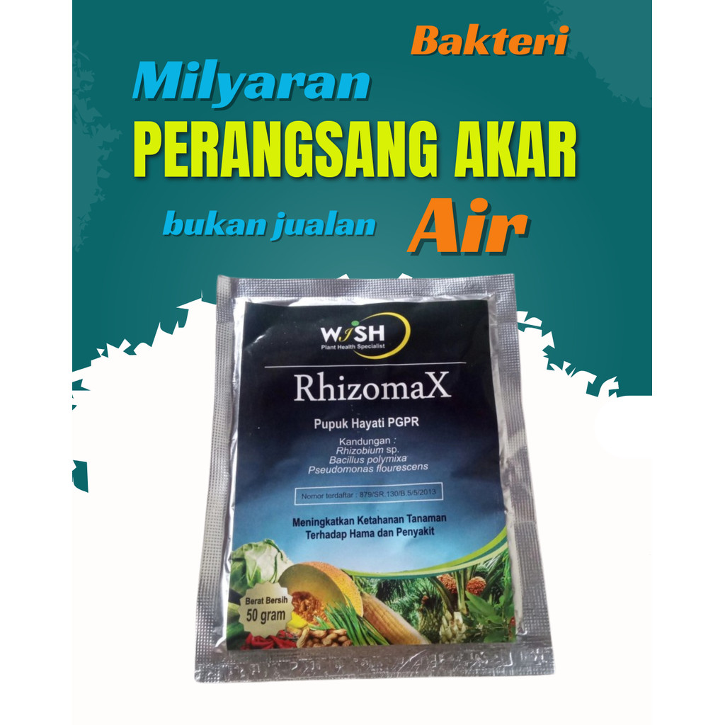 Rhizomax (Pupuk Hayati Pgpr) Grosir Pondokgede