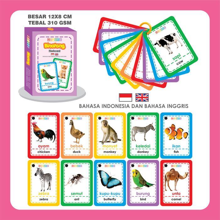 Flashcard RING Binatang Darat Air Udara Kartu Pintar Edukasi Hewan Animal Flash Card Belajar Anak Ba