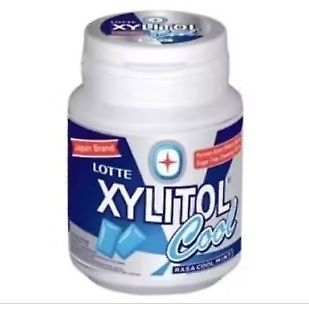 Xylitol Permen Karet Cool Mint 58 gr