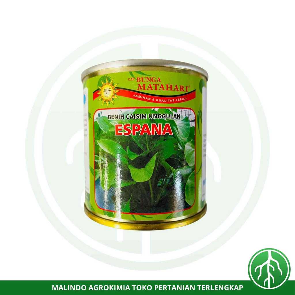 Benih Sawi Caisim Tahan Layu ESPANA 100gr dari BUNGA MATAHARI SEED