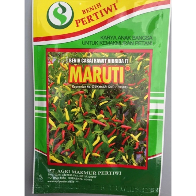 TT99 Cabe rawit putih MARUTI 10 gram cabe maruti F1 10gr cabe setan dari benih pertiwi