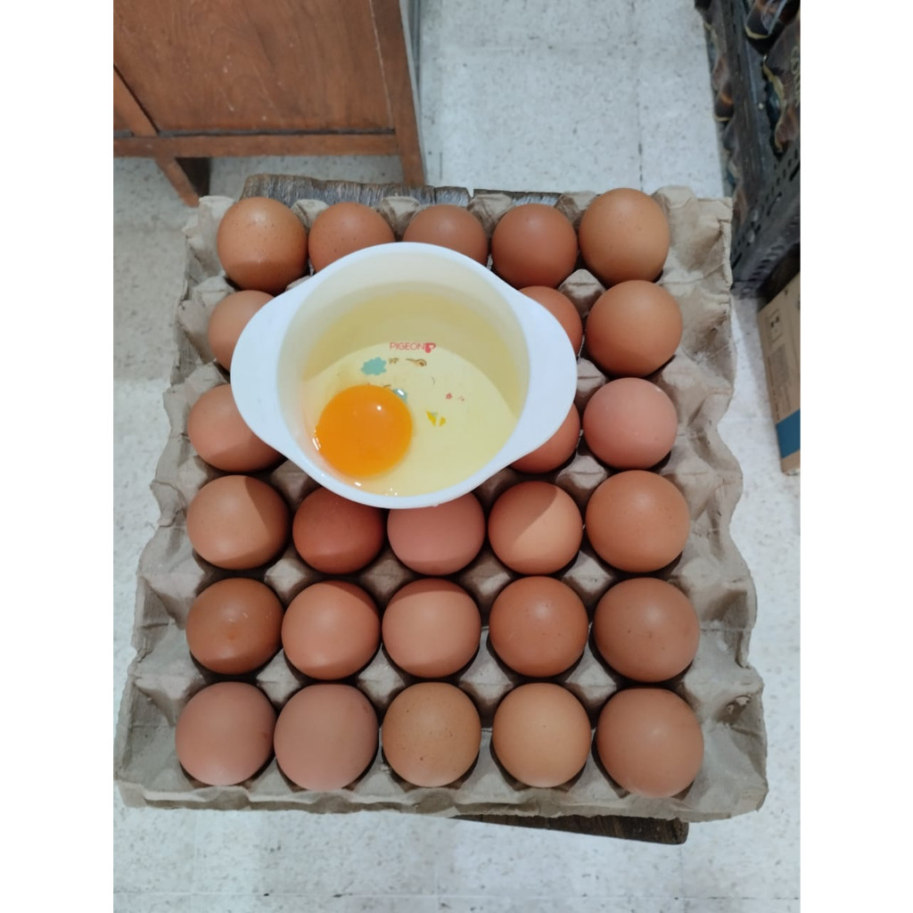 Telur ayam negri kualitas Bagus *Include Tray Kertas* (Ukuran per 1kg ±15 butir)