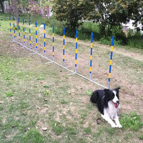 Pet Dog Agility Training Slalom Folded Dog Weave Pole