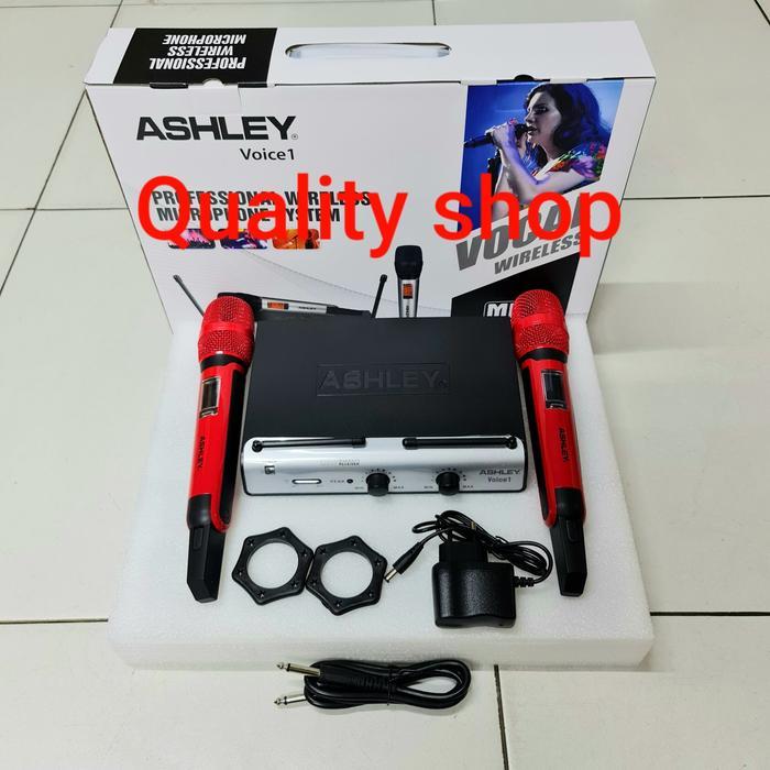 Mic Ashley VOICE 1 / voice1 ORIGINAL