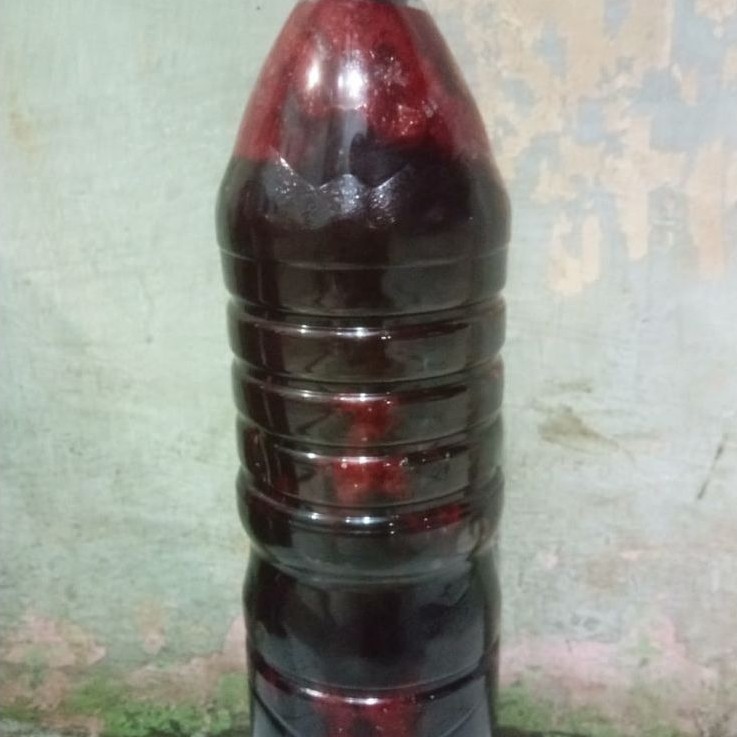 marus darah sapi 1,5L untuk olahan umpan pancing atau sodokan cacing
