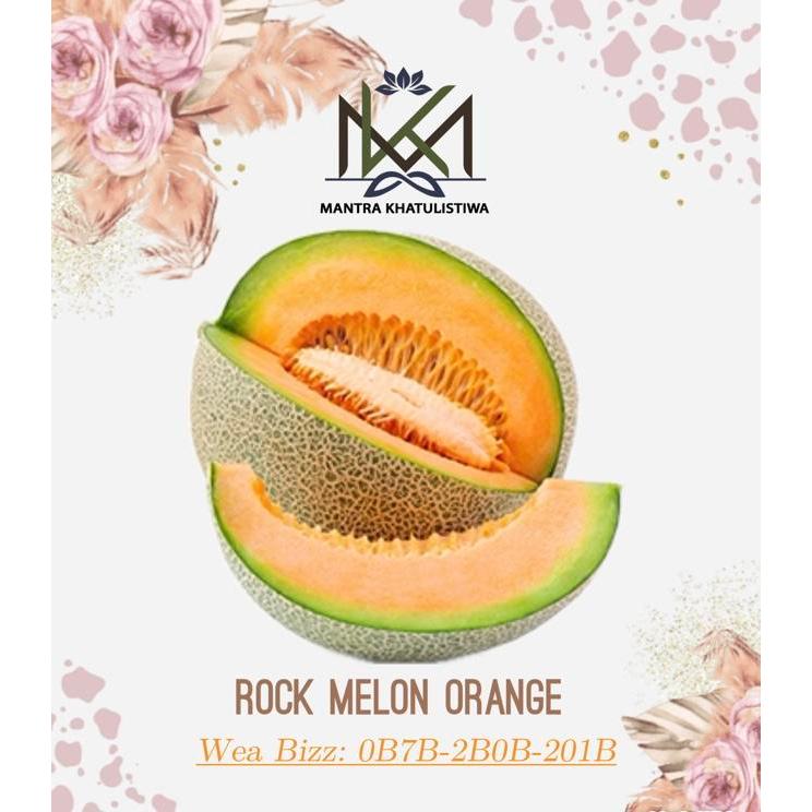 MELON ORANGE MANIS MELON ROCK ORANGE MANIS LOKAL