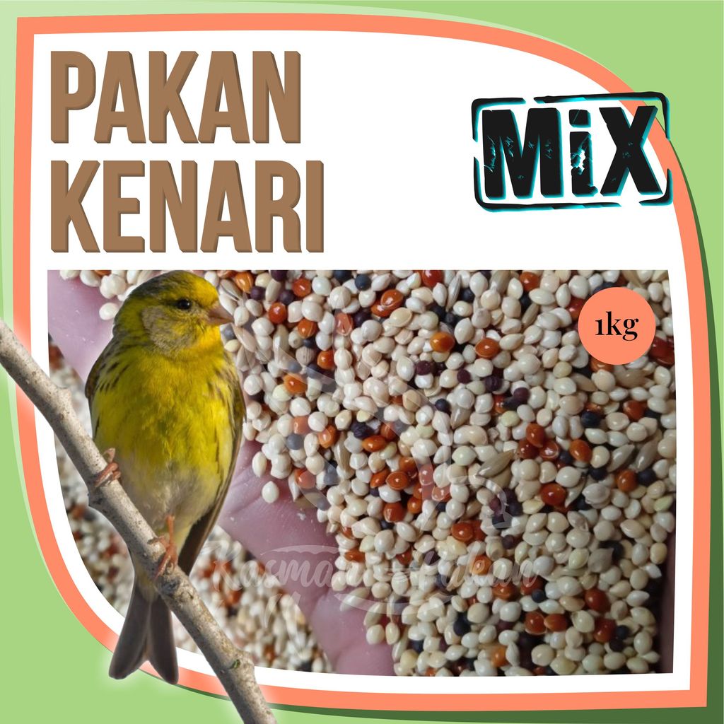 Pakan Kenari Cepat Gacor 1kg Campur Biji Sawi Kenari Seed Milet Kuning Milet Merah Milet Putih