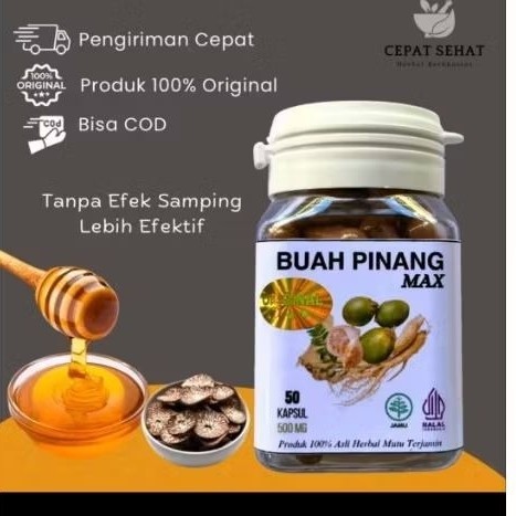 100% ORIGINAL KAPSUL BUAH PINANG MUDA KAPSUL HERBAL TRADISIONAL  50 KAPSUL Kapsul Buah Pinang MAX Is