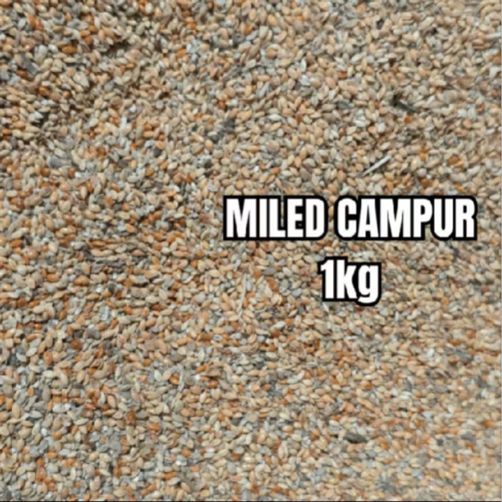 Miled/Milet Campur 1 Kg (Putih, Kuning, Merah)
