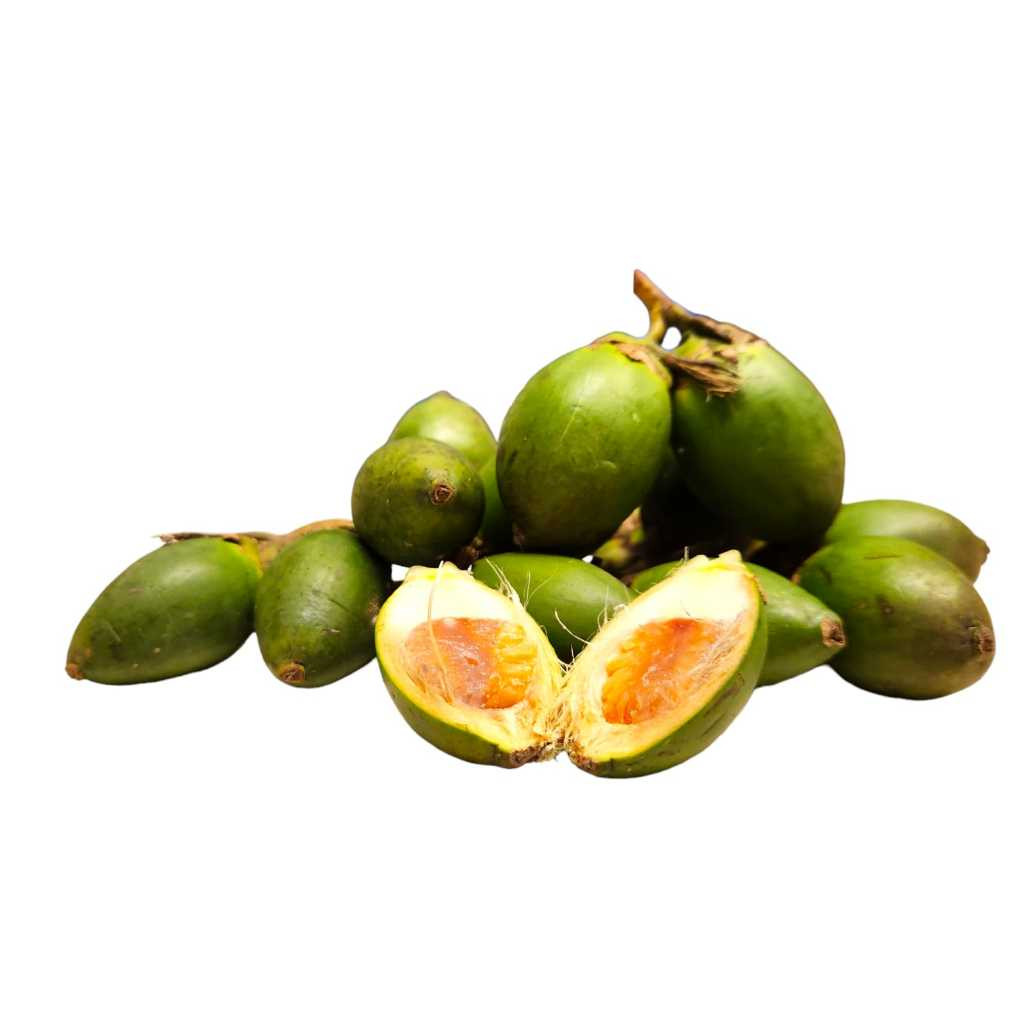 Buah Pinang Muda 500gr Jambe Obat Herbal Jambe nom