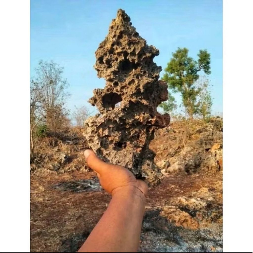 Batu karang gunung berkarakter/Batu rangkaian bonsai/batu aquarium/batu hias Astam_Bonsai
