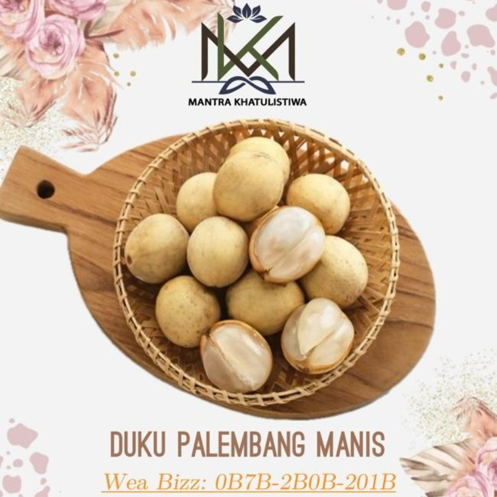BUAH DUKU MANIS LEGIT DUKU PALEMBANG MANIS FRESH