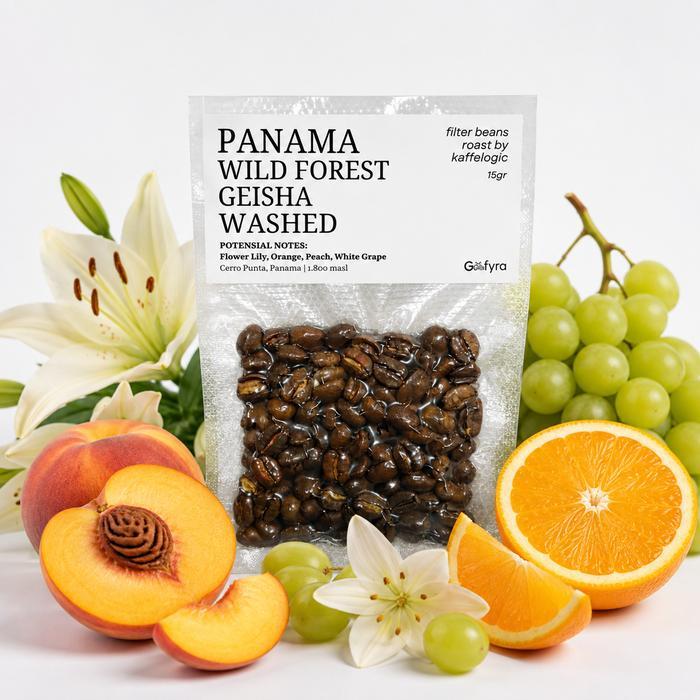Gefyra Filter Beans Single Brew 15 Gr | Panama Wild Forest Geisha Washed | Beans Arabica | Kaffelogi