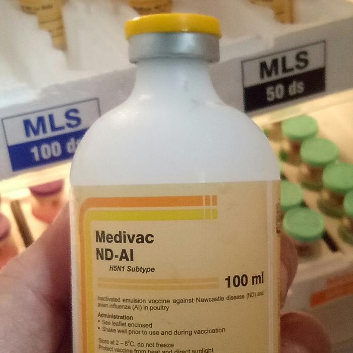 [ Promo ] || vaksin inaktif medivac ND AI 100 ml