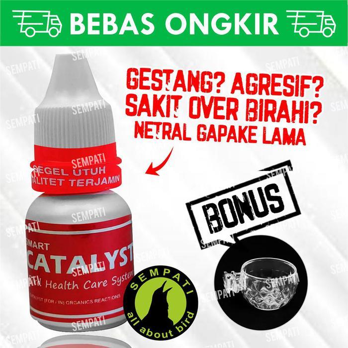 [ burj9iil1v ] || CATALYST SMART MASTERING OBAT BURUNG PENURUN BIRAHI PENGHILANG RACUN - fre cpk smp