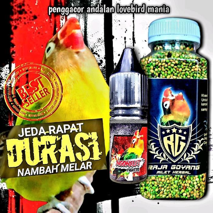 [ fn0tafaejf ] || 1 PAKET MILET + VIT NGONSLET FIGHTER /PENGGACOR LOVEBIRD/PEJEBOL BIRAHI DAN DURASI