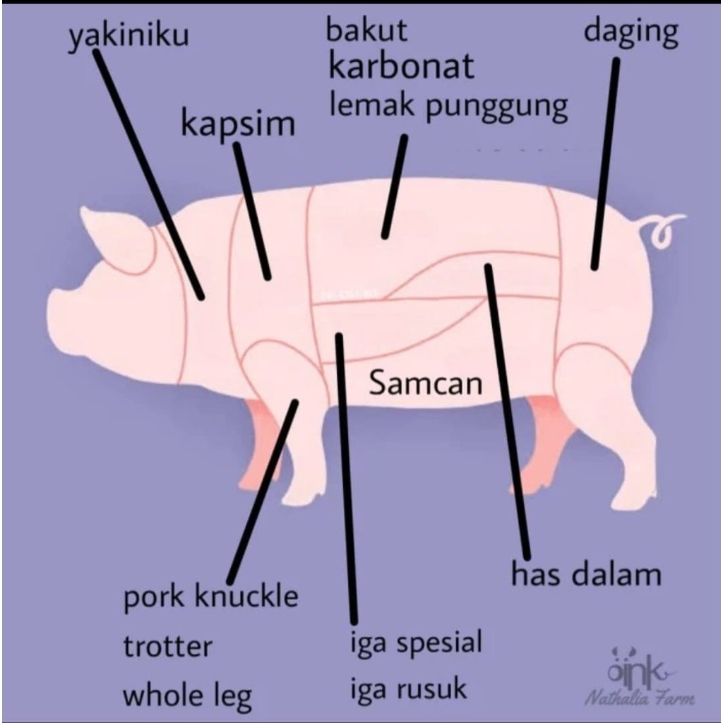 TERLARIS Daging Paha Babi - Daging Babi Organik 500gram READY