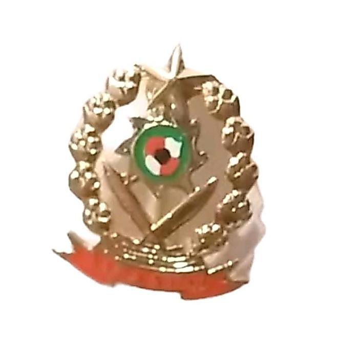 Promo PIN IPASPI / PIN IPASPI CAKRA MAGNET PENITI PAKU Best Seller