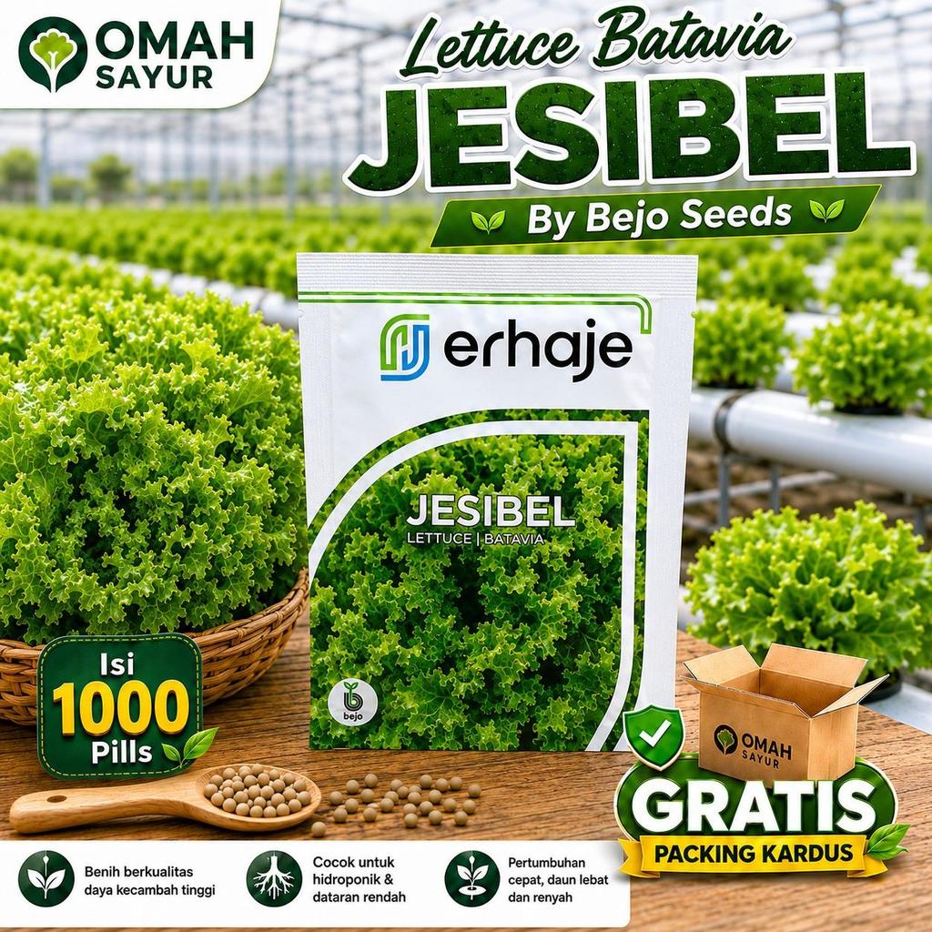 [1000 Pills] Benih Selada Bejo JESIBEL Benih Lettuce Batavia By Bejo Seeds