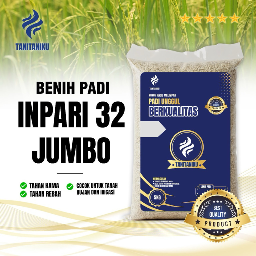 BENIH PADI BIBIT PADI INPARI 32 JUMBO (potensi hasil tinggi ) PREMIUM KEMASAN 5 KG