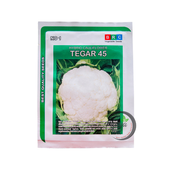 Benih Kembang Kol Tegar 45 10 Gram Original BRC Tahan Penyakit