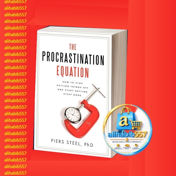 The Procrastination Equation