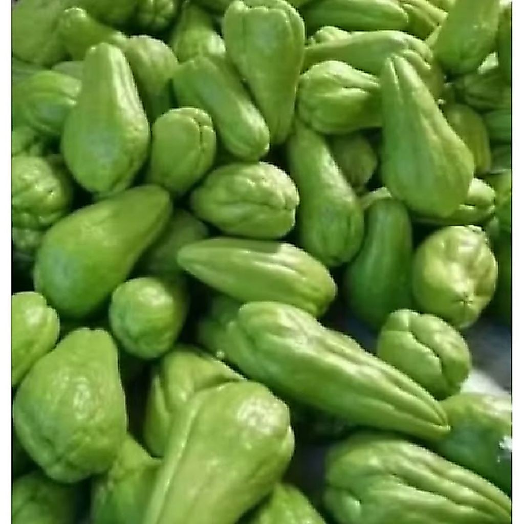 waluh siam segar 1kg asli