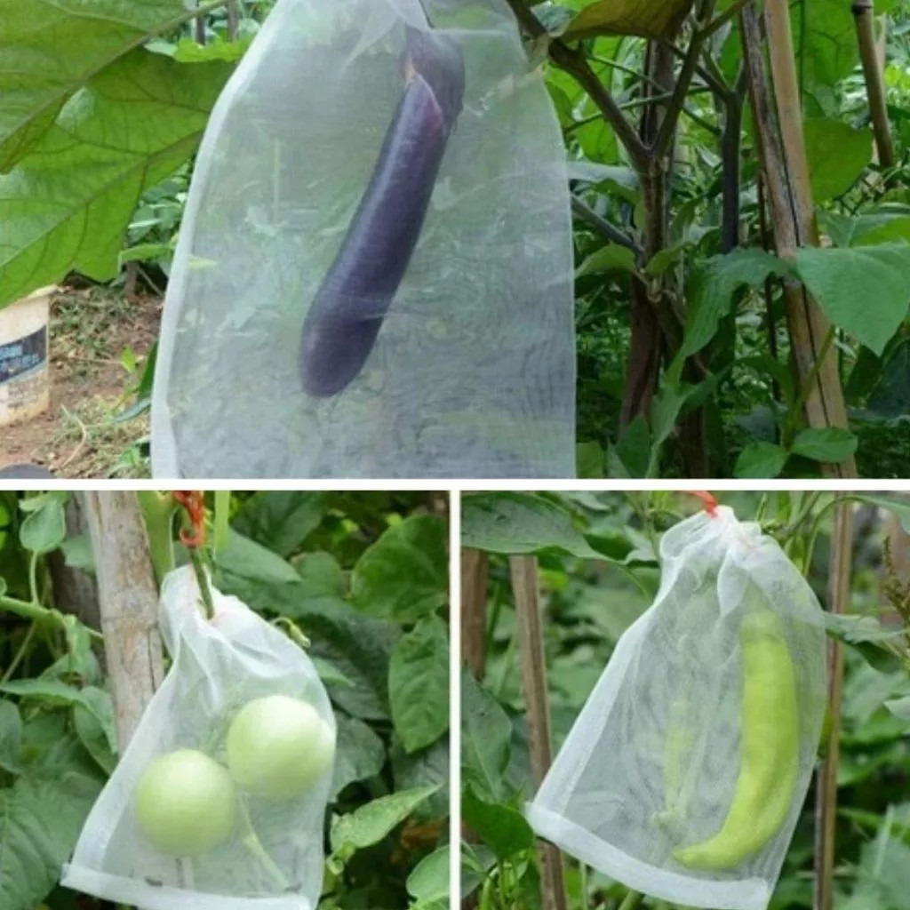 GR Fruit Cover / Kantong Jaring Pembungkus Buah / Fruit Cover Dari Hama Serangga