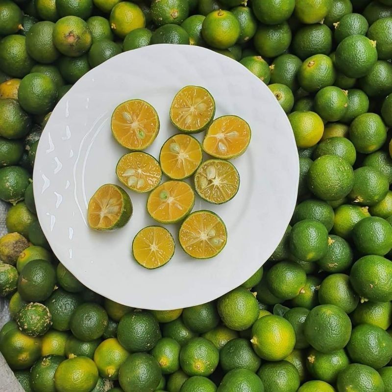 

YDM Jeruk sonkit/ jeruk kunci/jeruk songkit/ lemon cui kasturi 500gr