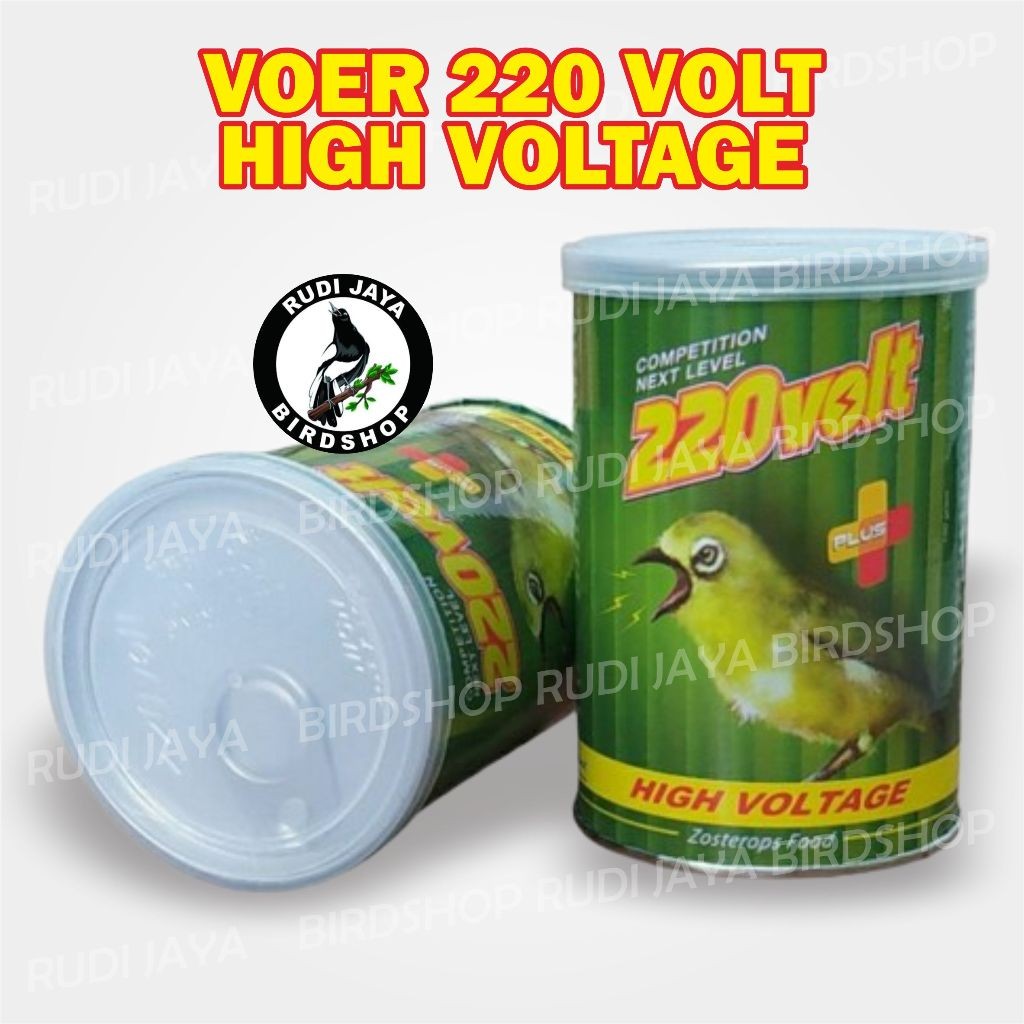 VOER 220 VOLT HIGH VOLTAGE PAKAN MAKANAN BURUNG PLECI SETINGAN HARIAN LOMBA GACOR SEHAT