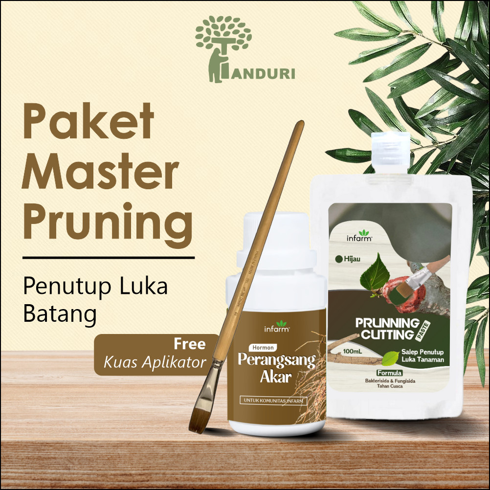 TANDURI - Paket Master Pruning Nutrisi Akar Salep Kambium Stek Batang Lengkap Obat Perangsang Akar T