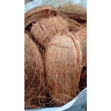 sabut kelapa kupas 1 kg