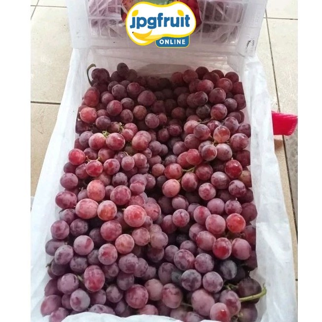 [Instant] Buah Anggur Red Globe China 1 Keranjang