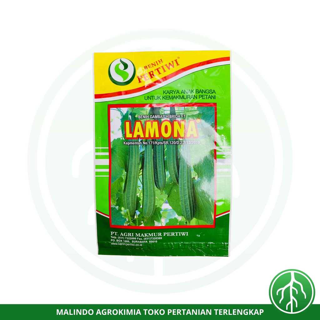 Benih Gambas Oyong Hibrida F1 LAMONA 10gr dari PERTIWI