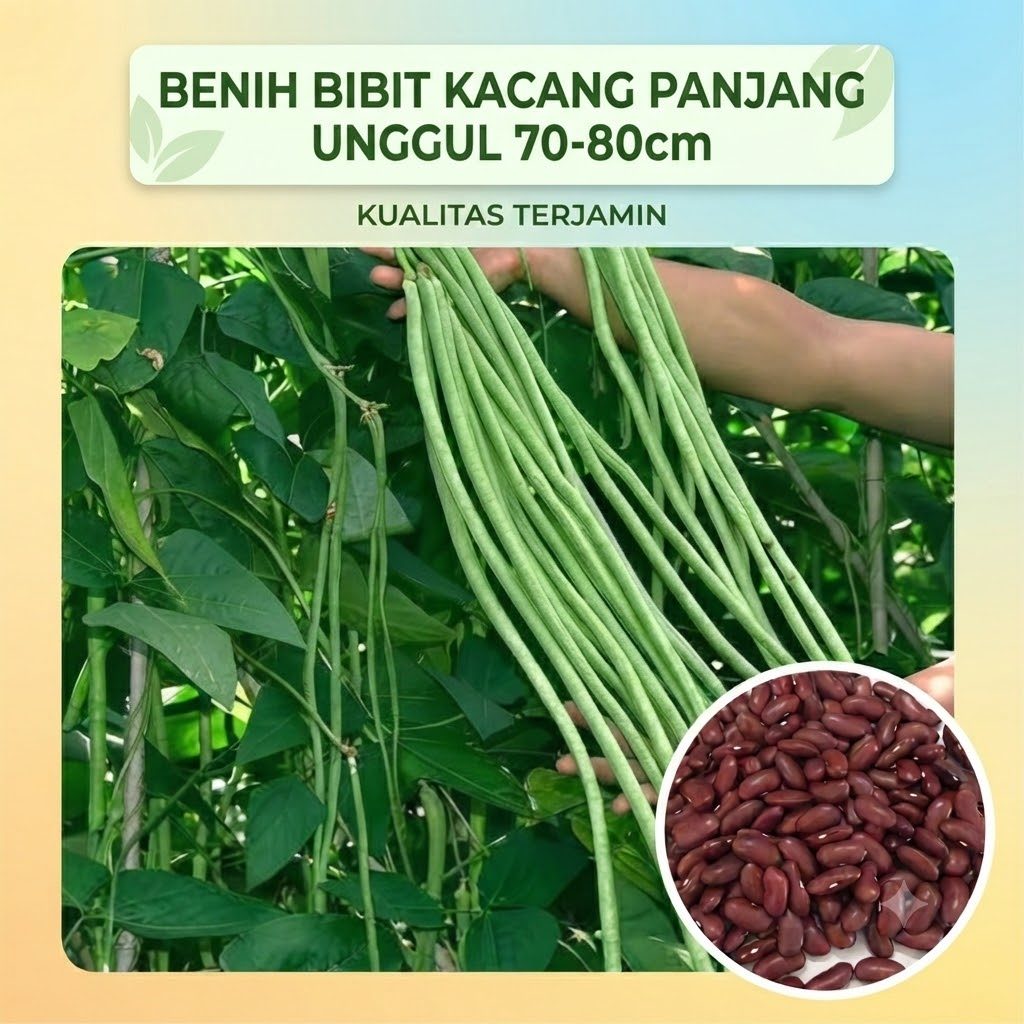 RBP Benih Bibit Kacang Panjang Unggul