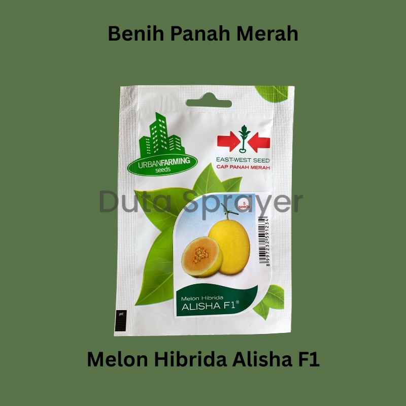 Benih Melon Hibrida Alisha PP 5 Seeds - Benih Panah Merah