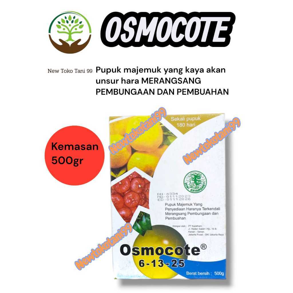 ( 500gr ) Pupuk OSMOCOTE 6-13-25 kemasan 500 gram pupuk perangsang bunga dan buah pada tanaman, kaya