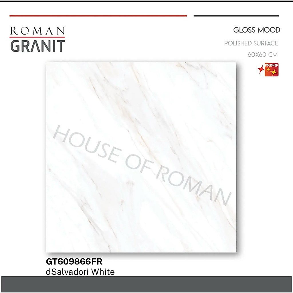 Roman granit dsalvadori white /Granit roman 60x60 /Granit gloss white