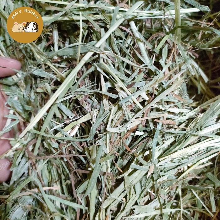 Hay Timothy 2nd & 3rd Cut