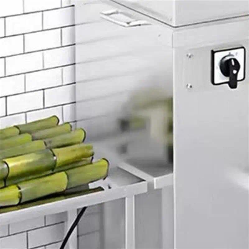 Juicer Extractor Machine Sugarcane with Tap Sugar Cane Juicer Machine Sugarcane Juice