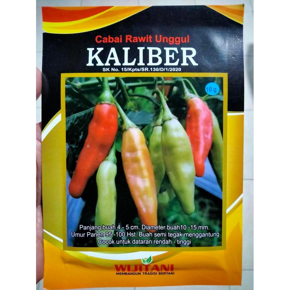 Benih Cabe Rawit KALIBER 10 Gram - Bibit Cabe KALIBER - CRM KALIBER Cabai