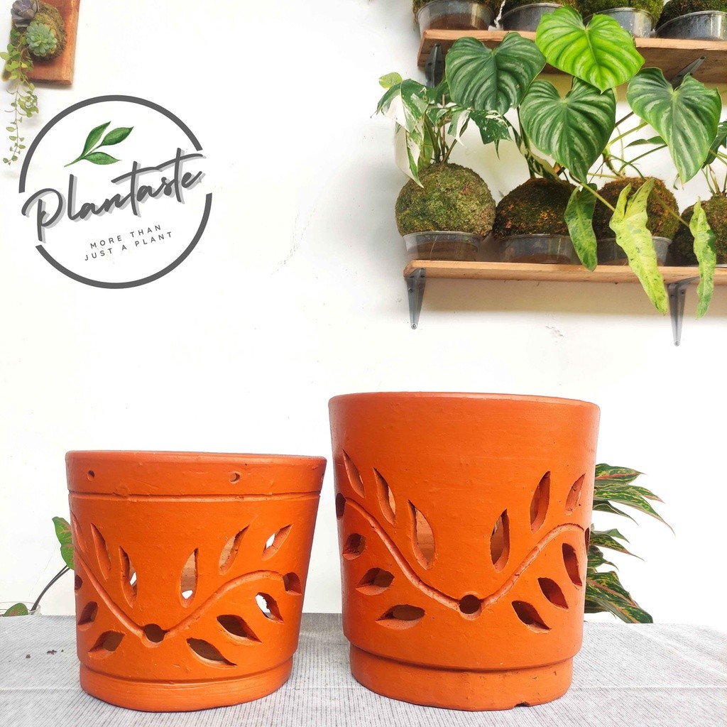 Premium Pot Anggrek Daun | Pot Anggrek Gerabah | Pot Plantaste | Anggrek Bulan