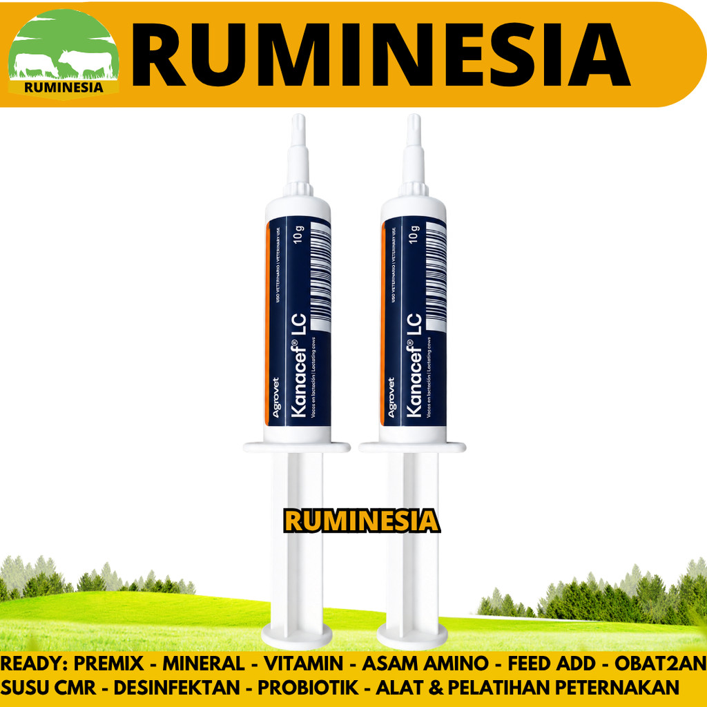 KANACEF LC AGROVET 1 PCS - Obat Mastitis Radang Ambing Sapi Perah & Kambing Perah Fase Laktasi