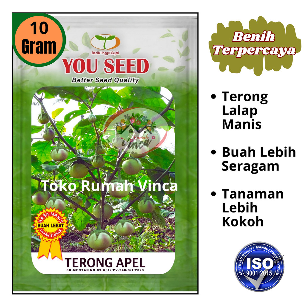 Benih Bibit Terong Lalap TERONG APEL 10g Cap You seed Bibit Terong Manggis