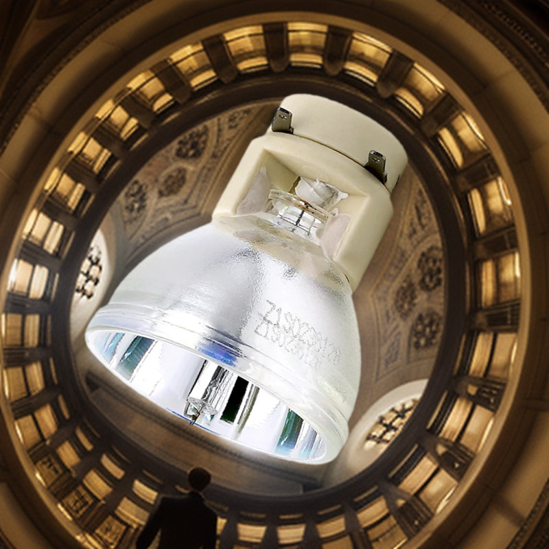 P-VIP 190/0.8 E20.8 projector bulb SP.8VH01GC01 for OPTOMA S315 S316 W316 X316 DX346 BR323 BR326 HD1