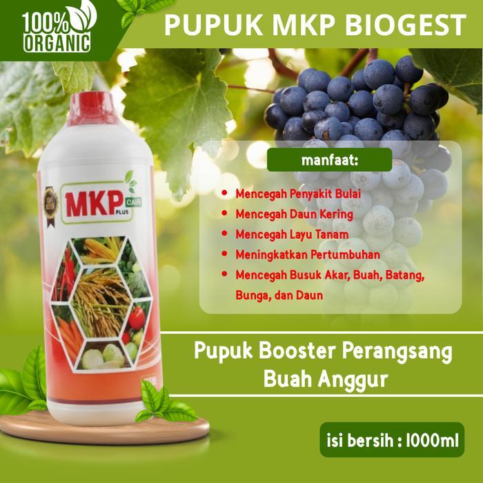 Pupuk MKP Biogest Cair NPK Organik Penumbuh Akar & Pelebat Daun — Pupuk Cair Pengganda Hasil Panen T