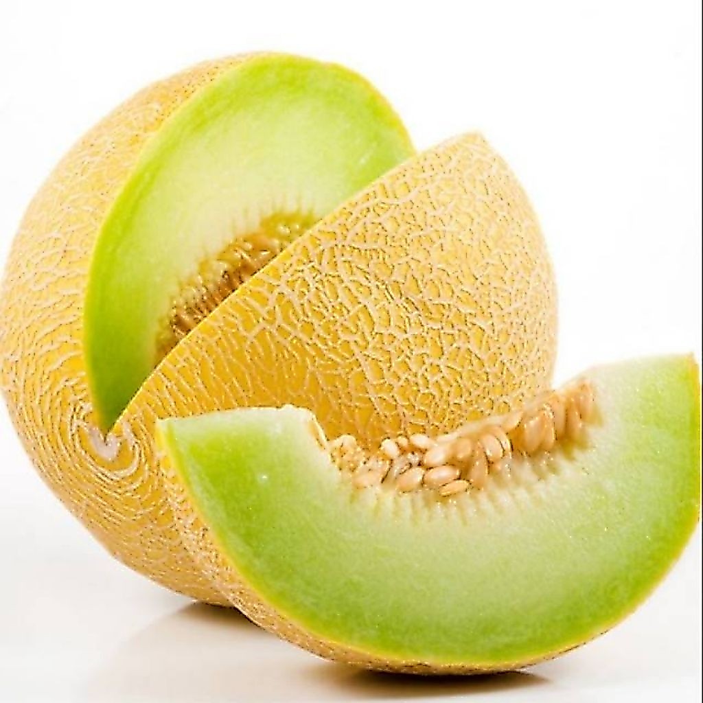 Melon Madu / Buah Melon Madu Segar Harga Kiloan